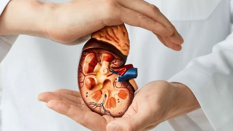 Salud renal Dra. Anael Tello, nefróloga en Quito