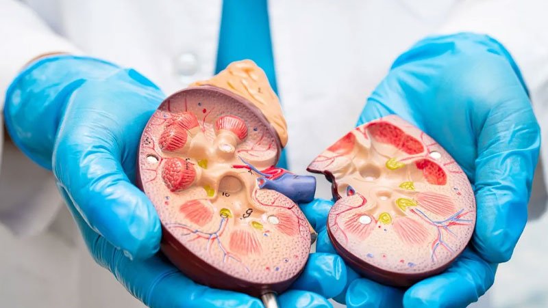 Salud renal Dra. Anael Tello, nefróloga en Quito